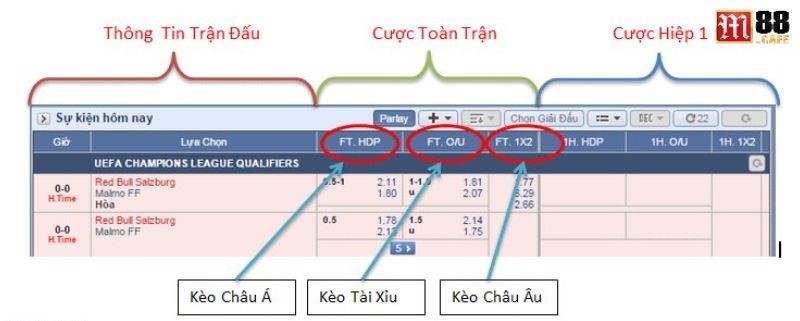 Thông tin tại M88 được cung cấp cụ thể và chi tiết